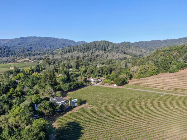 Légifelvétel Bor Szőlő Napa Valley Ben Nyári Szezonban Napa Megyében — Stock Fotó