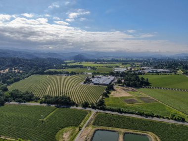 Yaz sezonunda Napa Vadisi'ndeki şarap bağının havadan görünümü. Napa County, Kaliforniya'nın Şarap Ülkesi, San Francisco Bay Area North Bay bölgenin bir parçası. Üzüm bağları manzara.
