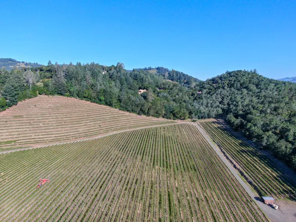 Aerial view of wine vineyard in Napa Valley during summer season. Napa County, in California\'s Wine Country, part of the North Bay region of the San Francisco Bay Area. Vineyards landscape.