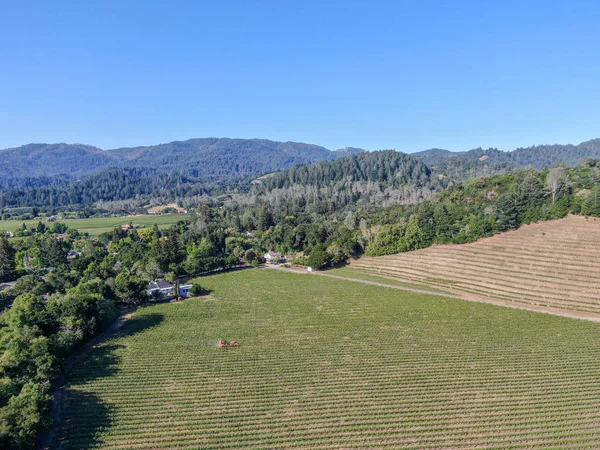 夏のシーズン中にナパバレーのワインブドウ園の航空写真 カリフォルニア州ワインカントリーのナパ郡は サンフランシスコベイエリアのノースベイ地域の一部です ブドウ園の風景 — ストック写真