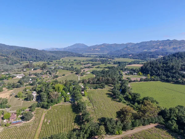 Aerial view of wine vineyard in Napa Valley during summer season. Napa County, in California\'s Wine Country, part of the North Bay region of the San Francisco Bay Area. Vineyards landscape.