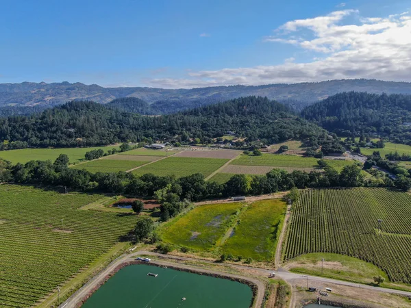 Aerial view of wine vineyard in Napa Valley during summer season. Napa County, in California\'s Wine Country, part of the North Bay region of the San Francisco Bay Area. Vineyards landscape.