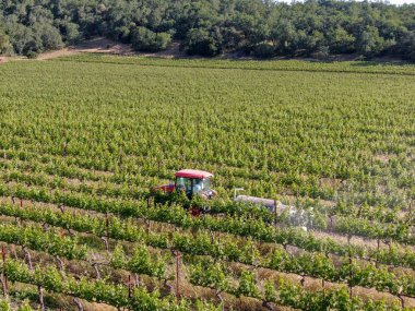 Tarım traktörböcek püskürtme ve böcek herbisityeşil bağ alanı üzerinde. Napa Valley, Napa County, Kaliforniya, Amerika Birleşik Devletleri,