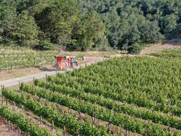 Trattori Agricoli Che Spruzzano Pesticidi Insetticidi Erbicidi Sul Campo Vigna — Foto Stock