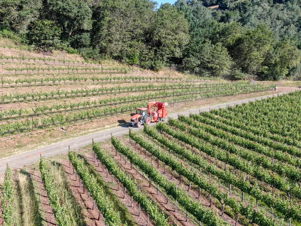 Jordbrukstraktor Sprutning Bekämpningsmedel Insekticider Herbicider Över Grön Vingård Fält Napa — Stockfoto