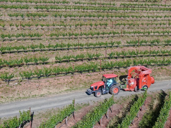 Tarım traktörböcek püskürtme ve böcek herbisityeşil bağ alanı üzerinde. Napa Valley, Napa County, Kaliforniya, Amerika Birleşik Devletleri,