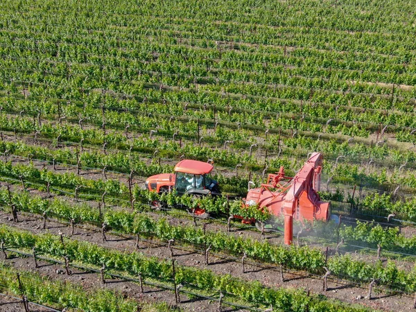 Zemědělský Traktor Postřik Pesticidy Insekticidy Herbicidů Nad Zelenou Vinici Napa — Stock fotografie