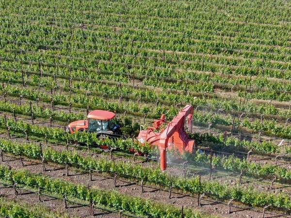 Jordbrukstraktor Sprutning Bekämpningsmedel Insekticider Herbicider Över Grön Vingård Fält Napa — Stockfoto