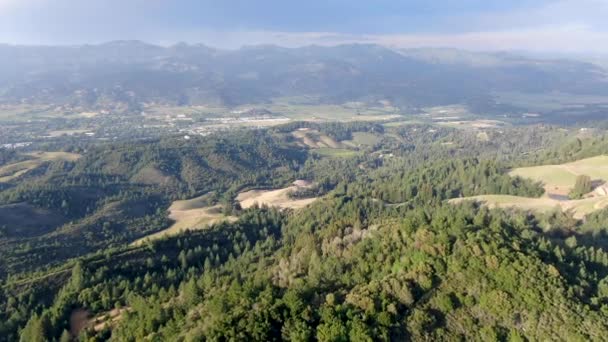 Vista Aérea Las Verdes Colinas Con Árboles Valle Napa Durante — Vídeos de Stock