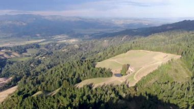 Yaz sezonunda Napa Vadisi 'nde ağaçlar ile yemyeşil tepelerin havadan görünümü. Napa Ilçesi, Californias şarap ülkesi, San Francisco Körfezi bölgesi 'nin Kuzey Körfezi bölgesinin bir parçasıdır. Bağ alanı.