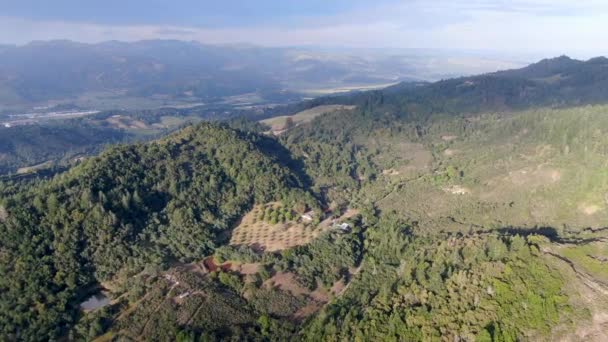夏のシーズン中にナパバレーの木々と緑豊かな丘の航空写真 ナパ郡 カリフォルニア州ワインカントリー サンフランシスコベイエリアのノースベイ地域の一部 ブドウ園エリア — ストック動画
