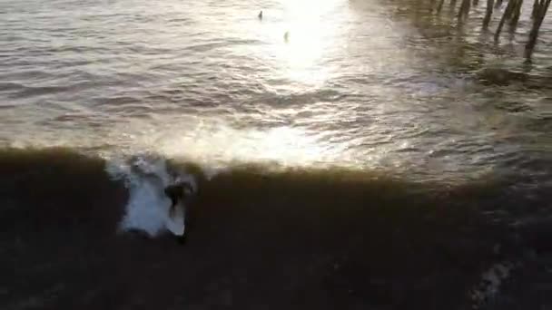 Aerial View Surfers Enjoying Waves Next San Clemente Pier Sunset — Stock Video