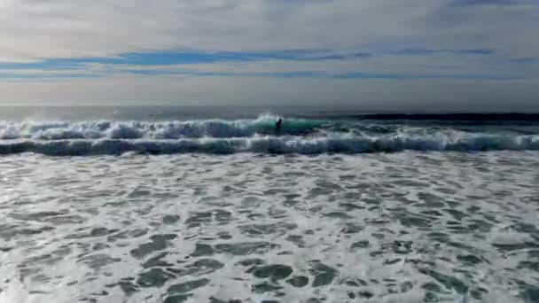 Vista Aérea Surfistas Disfrutando Olas Jolla San Diego California — Vídeo de stock