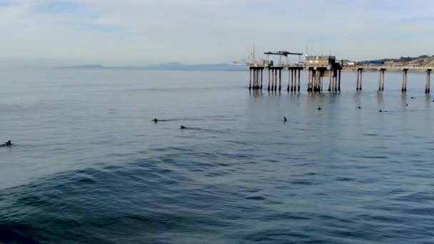 Vista Aérea Surfistas Disfrutando Olas Jolla Con Instituto Oceanografía Scripps — Vídeos de Stock