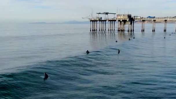 Vista Aérea Surfistas Disfrutando Olas Jolla Con Instituto Oceanografía Scripps — Vídeo de stock