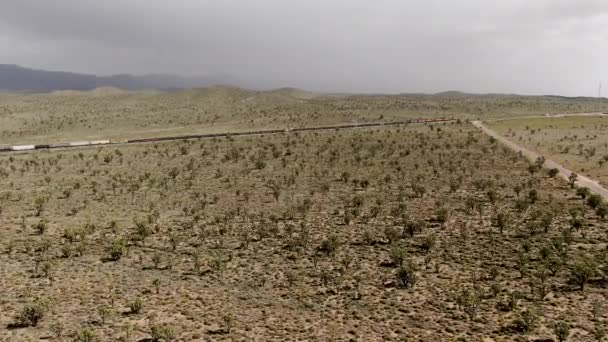 Cargo Lok Järnvägen Motor Korsar Arizona Desert Wilderness Godståg Som — Stockvideo