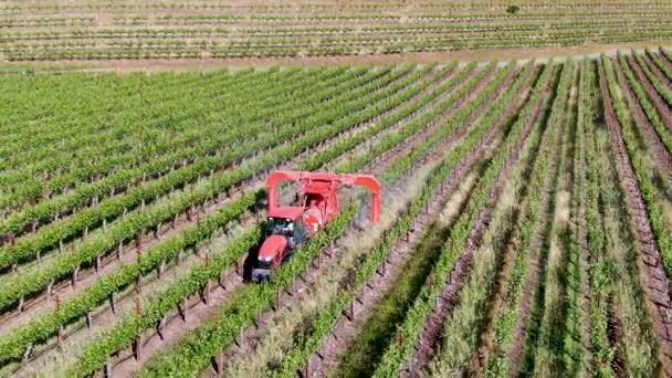 Granja Tractor Pulverización Pesticidas Insecticidas Herbicidas Sobre Campo Viñedo Verde — Vídeos de Stock