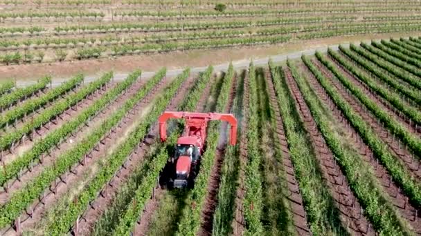 农场拖拉机喷洒杀虫剂和杀虫剂除草剂在绿色葡萄园的田地 纳帕谷 纳帕县 加利福尼亚州 — 图库视频影像