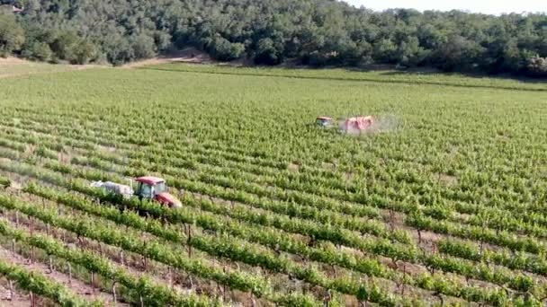 Granja Tractor Pulverización Pesticidas Insecticidas Herbicidas Sobre Campo Viñedo Verde — Vídeo de stock