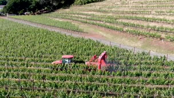 Granja Tractor Pulverización Pesticidas Insecticidas Herbicidas Sobre Campo Viñedo Verde — Vídeos de Stock