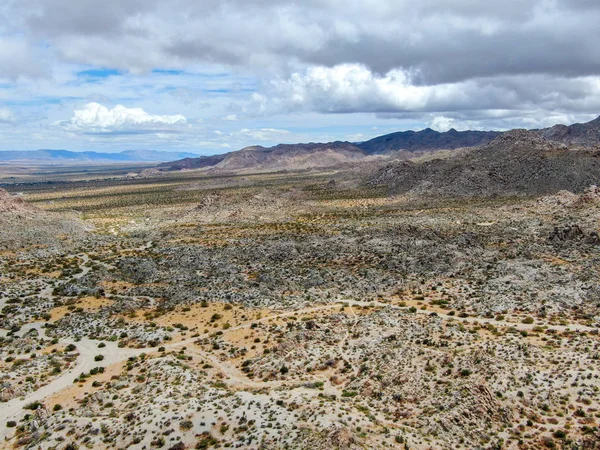 Aerial View Joshua Tree National Park American National Park Southeastern — Stock Photo, Image