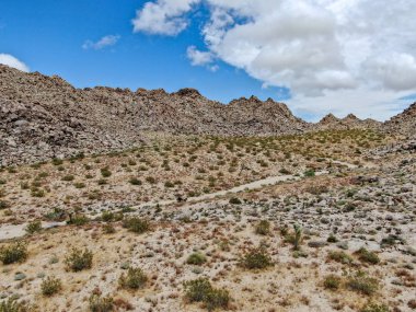 Joshua Tree Milli Parkı'nın havadan görünümü. Güneydoğu Kaliforniya'daki Amerikan Milli Parkı. Kurak çölün panoramik manzarası.