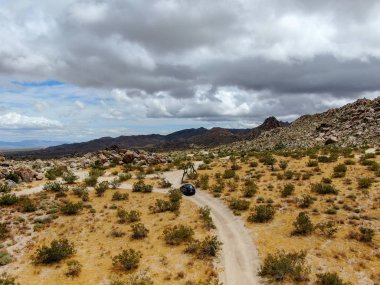 Çölde yoldan giden 4x4'lük otomobilin havadan görünümü. Joshua Tree Milli Parkı. Güneydoğu Kaliforniya'daki Amerikan Milli Parkı. Kurak çölde SUV sürüş.