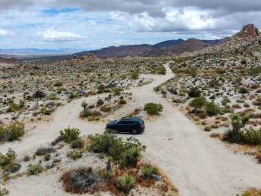 Çölde yoldan giden 4x4'lük otomobilin havadan görünümü. Joshua Tree Milli Parkı. Güneydoğu Kaliforniya'daki Amerikan Milli Parkı. Kurak çölde SUV sürüş.