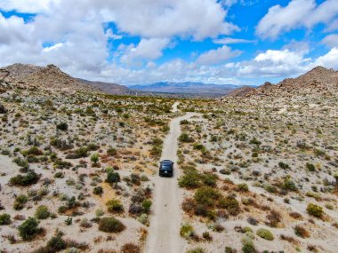 Çölde yoldan giden 4x4'lük otomobilin havadan görünümü. Joshua Tree Milli Parkı. Güneydoğu Kaliforniya'daki Amerikan Milli Parkı. Kurak çölde SUV sürüş.