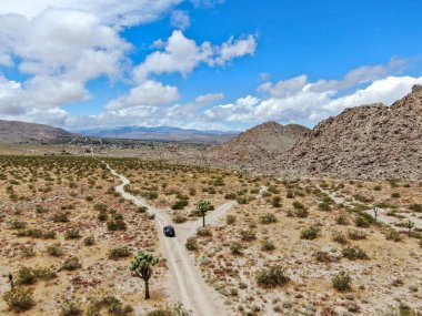 Çölde yoldan giden 4x4'lük otomobilin havadan görünümü. Joshua Tree Milli Parkı. Güneydoğu Kaliforniya'daki Amerikan Milli Parkı. Kurak çölde SUV sürüş.