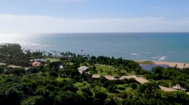 Arka planda palmiye tress ve berrak deniz suyu ile tropikal orman havadan görünümü. Praia do Forte, Bahia, Brezilya. Seyahat tropikal kavramı.