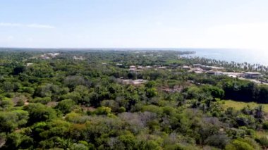 Arka planda palmiye tress ve berrak deniz suyu ile tropikal orman havadan görünümü. Praia do Forte, Bahia, Brezilya. Seyahat tropikal kavramı.
