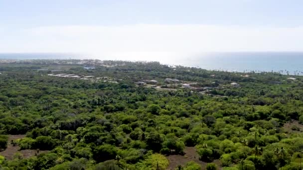 Légifotó Trópusi Erdő Pálmavirágával Kristálytiszta Tengervízzel Háttérben Praia Forte Bahia — Stock videók