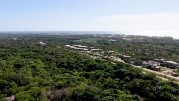 Flygbild Tropisk Skog Med Palm Tress Och Klart Havsvatten Bakgrunden — Stockvideo