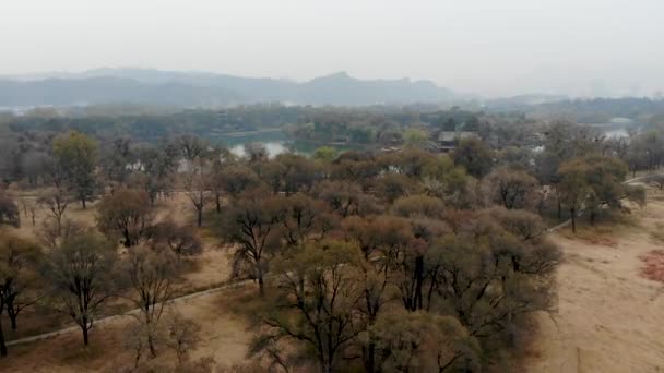 Vista Aérea Pequeños Pabellones Junto Lago Dentro Del Palacio Imperial — Vídeo de stock