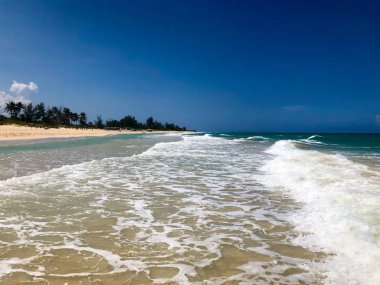 Mavi şeffaf deniz, hindistan cevizi palmiye ağacı, dinlenmek için tropikal hedef ile tropikal beyaz kumlu plaj görünümü. Havana, Küba.