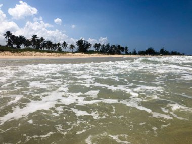 Mavi şeffaf deniz, hindistan cevizi palmiye ağacı, dinlenmek için tropikal hedef ile tropikal beyaz kumlu plaj görünümü. Havana, Küba.