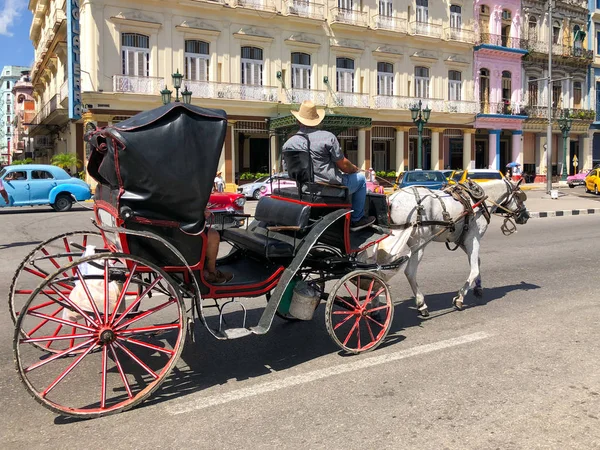 Koňské Vozy Staré Havaně Kubě Tradiční Přeprava Turistů Pamětihodností Havaně — Stock fotografie