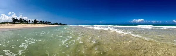 Vista Praia Tropical Areia Branca Com Mar Azul Transparente Coqueiro — Fotografia de Stock