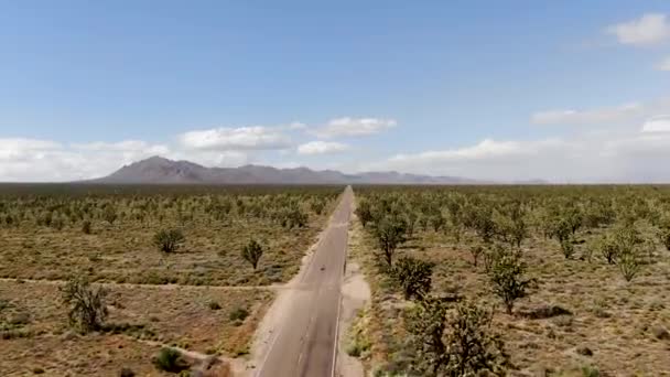 Veduta Aerea Infinito Deserto Strada Diritta Accanto Joshua Tree Park — Video Stock