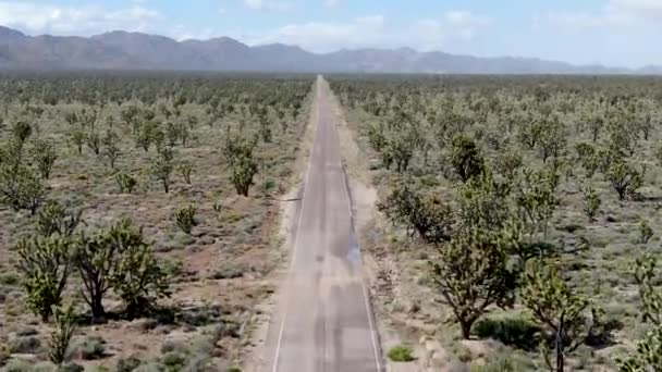 Widok Lotu Ptaka Nieskończonej Pustyni Prostej Drodze Obok Joshua Tree — Wideo stockowe