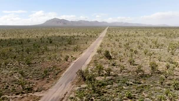 约书亚树公园旁无边无际的沙漠直路鸟瞰图 通往沙漠的漫长直行路 向亚利桑那方向驶去 — 图库视频影像