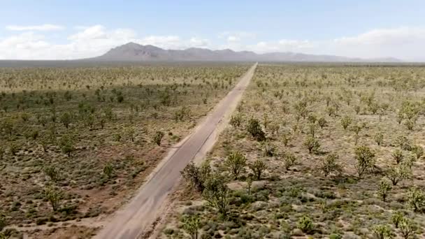 Flygfoto Över Ändlösa Öken Raka Vägen Nästa Joshua Tree Park — Stockvideo