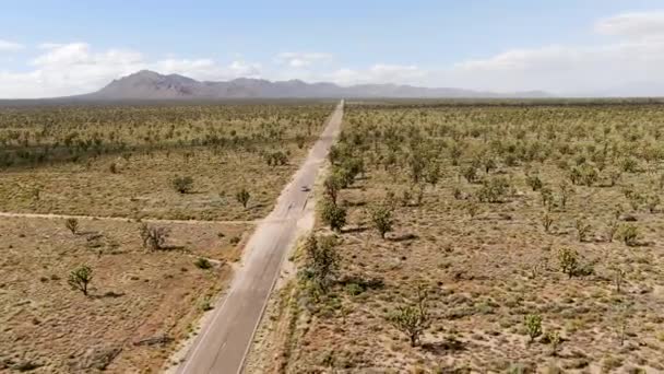 Aerial View Endless Desert Straight Road Next Joshua Tree Park — Stock Video