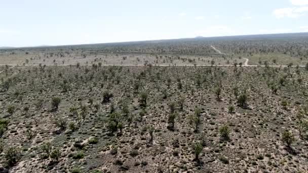 约书亚树国家公园的鸟瞰图 位于加州东南部的美国国家公园 干旱沙漠全景 — 图库视频影像