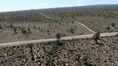 Joshua Tree Park'ın yanındaki uçsuz bucaksız çöl düz yolunun havadan görünümü. Abd. Arizona yönüne doğru çöle doğru giden uzun düz asfalt yol.