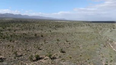 Joshua Tree Milli Parkı'nın havadan görünümü. Güneydoğu Kaliforniya'daki Amerikan Milli Parkı. Kurak çölün panoramik manzarası.