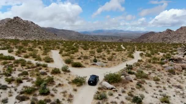 Flygbild 4X4 Bil Kör Road Öknen Joshua Tree Nationalpark American — Stockvideo