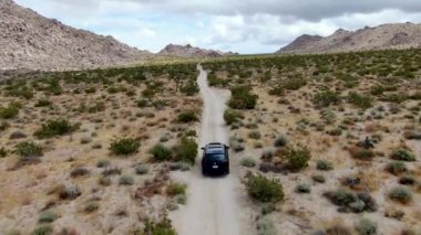 Çölde yoldan giden 4x4'lük otomobilin havadan görünümü. Joshua Tree Milli Parkı. Güneydoğu Kaliforniya'daki Amerikan Milli Parkı. Kurak çölde SUV sürüş.