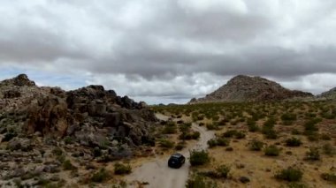 Çölde yoldan giden 4x4'lük otomobilin havadan görünümü. Joshua Tree Milli Parkı. Güneydoğu Kaliforniya'daki Amerikan Milli Parkı. Kurak çölde SUV sürüş.